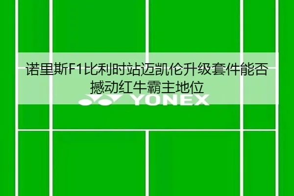 nuo-li-si-bi-li-shi-zhan-mai-kai-lun-sheng-ji-tao-jian-neng-fou-han-dong-hong-niu-ba-zhu-di-wei-3-650.jpg