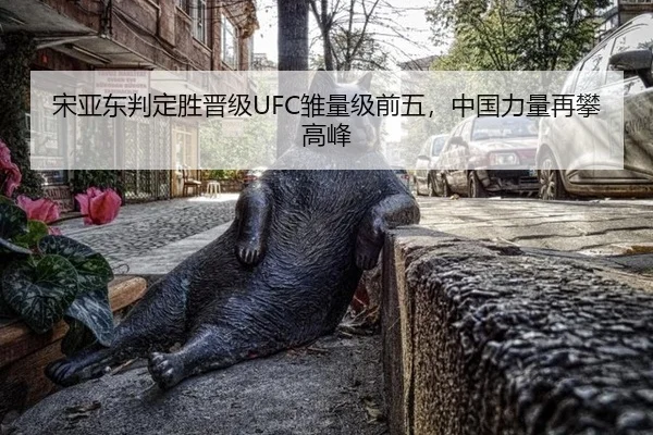 宋亚东判定胜晋级UFC雏量级前五，中国力量再攀高峰
